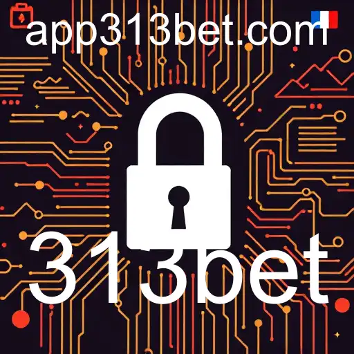 Política de Privacidade da 313bet: Um Guia Completo