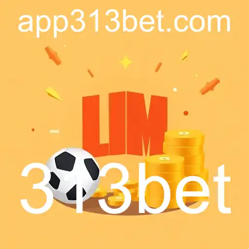 Promoção: A Arte de Oferecer Mais com 313bet